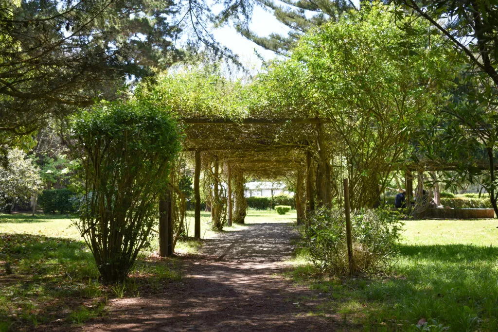 Imagen de Vivero Cosme Argerich